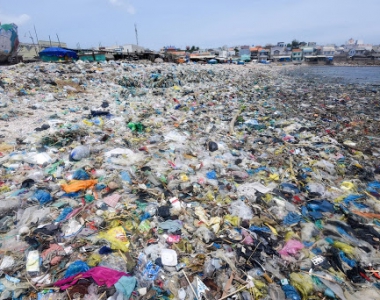 Tác hại của rác thải nhựa đối với môi trường, sinh vật biển và kinh tế xã hội