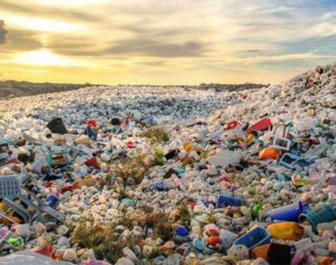 Thực trạng rác thải nhựa ở Việt Nam là những con số đáng báo động 
