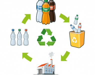 Tái sử dụng, tái chế rác thải nhựa: Giải pháp và hành động của Chính phủ