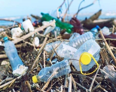 Rác thải nhựa - Chất độc với sức khỏe và môi trường sống