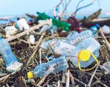 Tác hại khôn lường của rác thải sinh hoạt